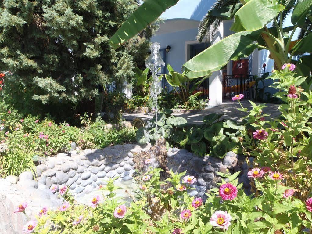 Blue Sky Hotel - Petra - Lesvos - Greece エクステリア 写真